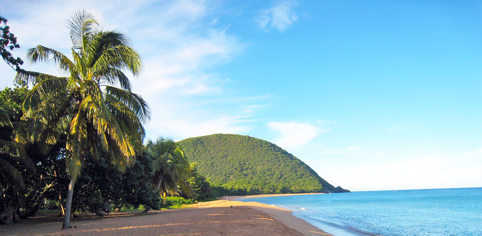 La Guadeloupe, une destination propice à l'investissement