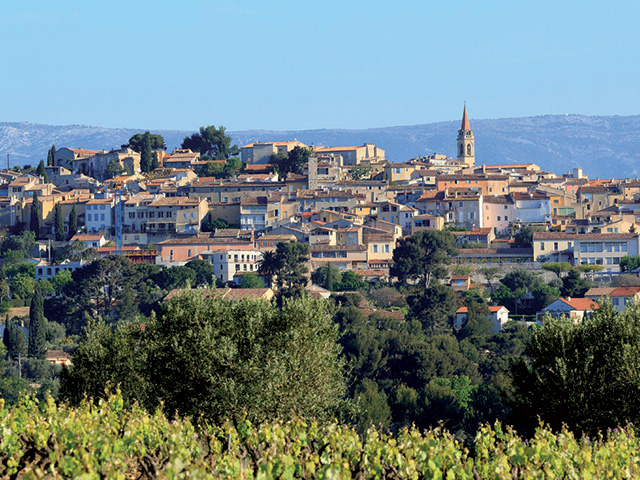 Le domaine de l’Oliveraie