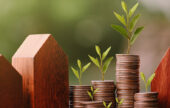 Alternatives à la Loi Pinel Outre-mer : comment continuer à défiscaliser efficacement ?