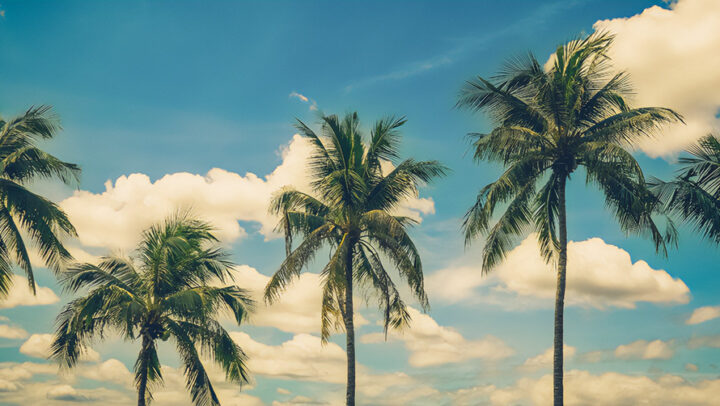 Défiscalisation Outre-mer : la loi Girardin immobilier disparait, la loi Pinel prend le relais