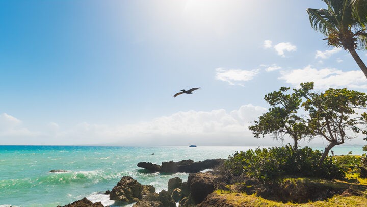 Défiscaliser aux Antilles&nbsp;: nouveau souffle pour l’immobilier guadeloupéen et martiniquais