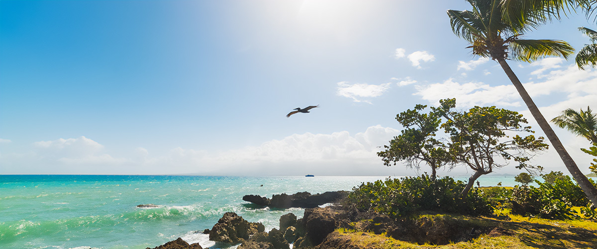 Défiscaliser aux Antilles : nouveau souffle pour l’immobilier guadeloupéen et martiniquais
