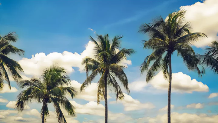 Le dispositif Girardin IS prolongé jusqu’au 31 décembre 2029