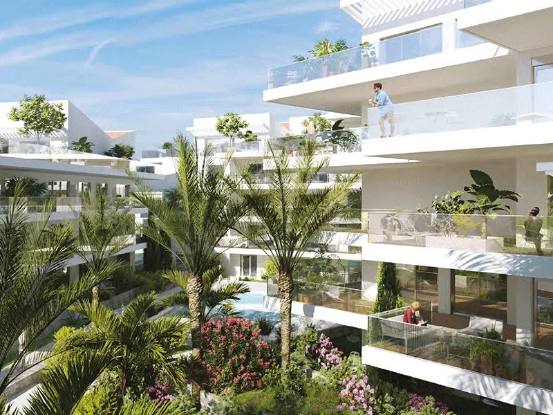 Le 29 Isola Bella, Cannes