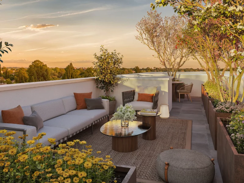 Visuel du programme — terrasse-a305-compressed